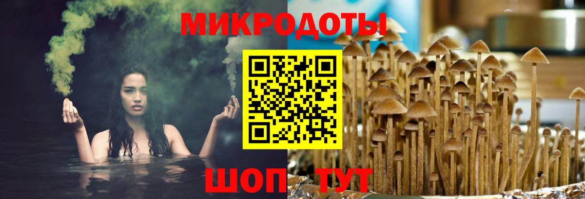 Новодвинск  Галлюциногенные грибы Psilocybine cubensis  наркота  Псилоцибиновые грибы MAGIC MUSHROOMS  Вход с VPN 